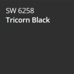 tricorn-black